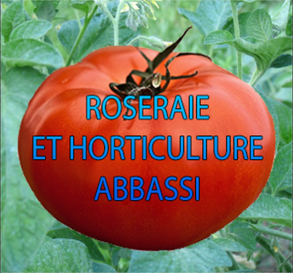 Photo d'illustration 1 sur 1