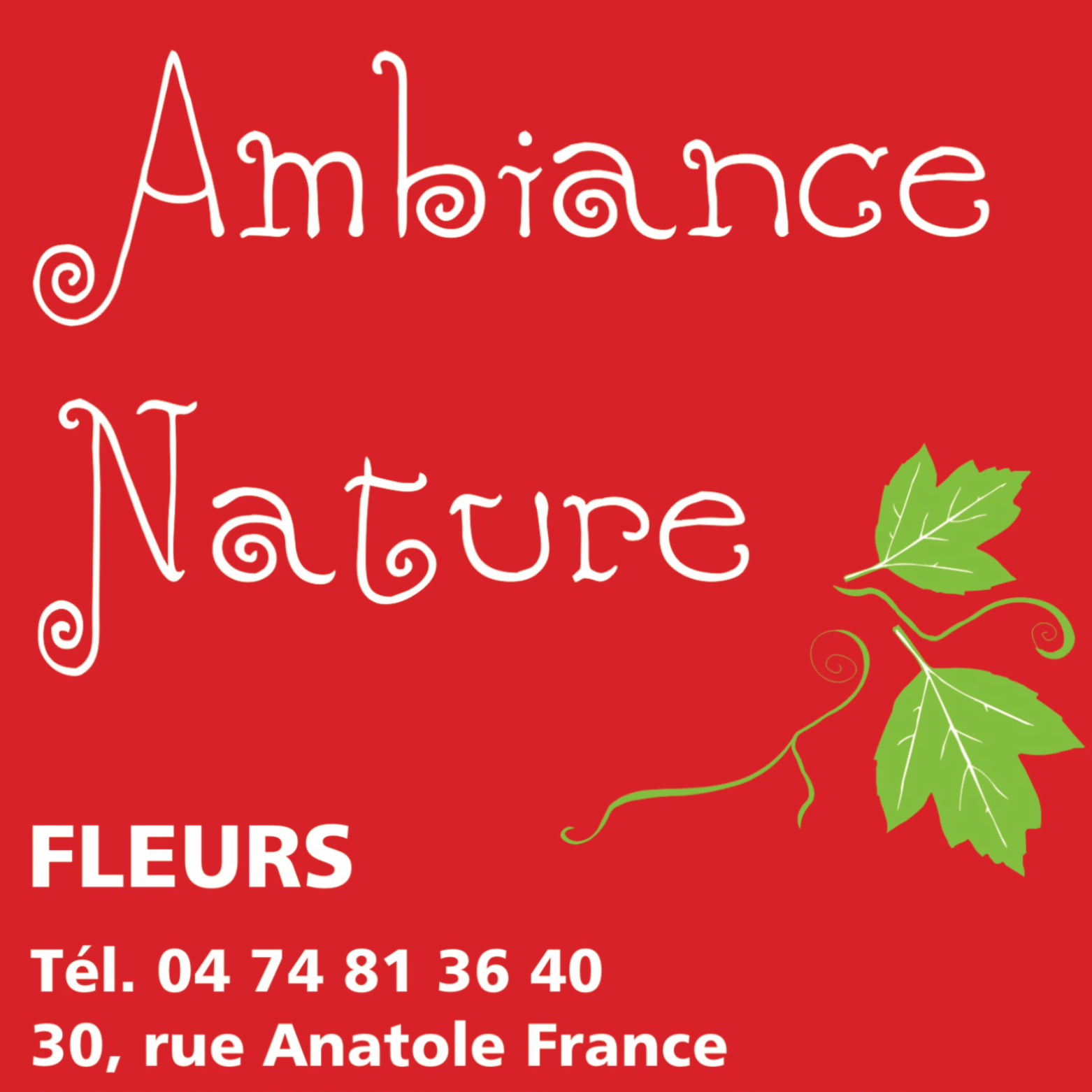 Photo d'illustration 2 sur 3