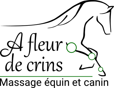 Photo d'illustration 1 sur 7