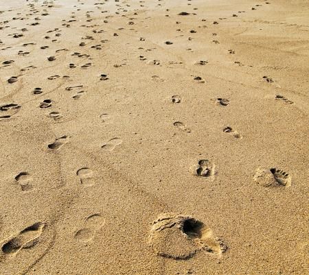 Photo d'illustration 4 sur 8
