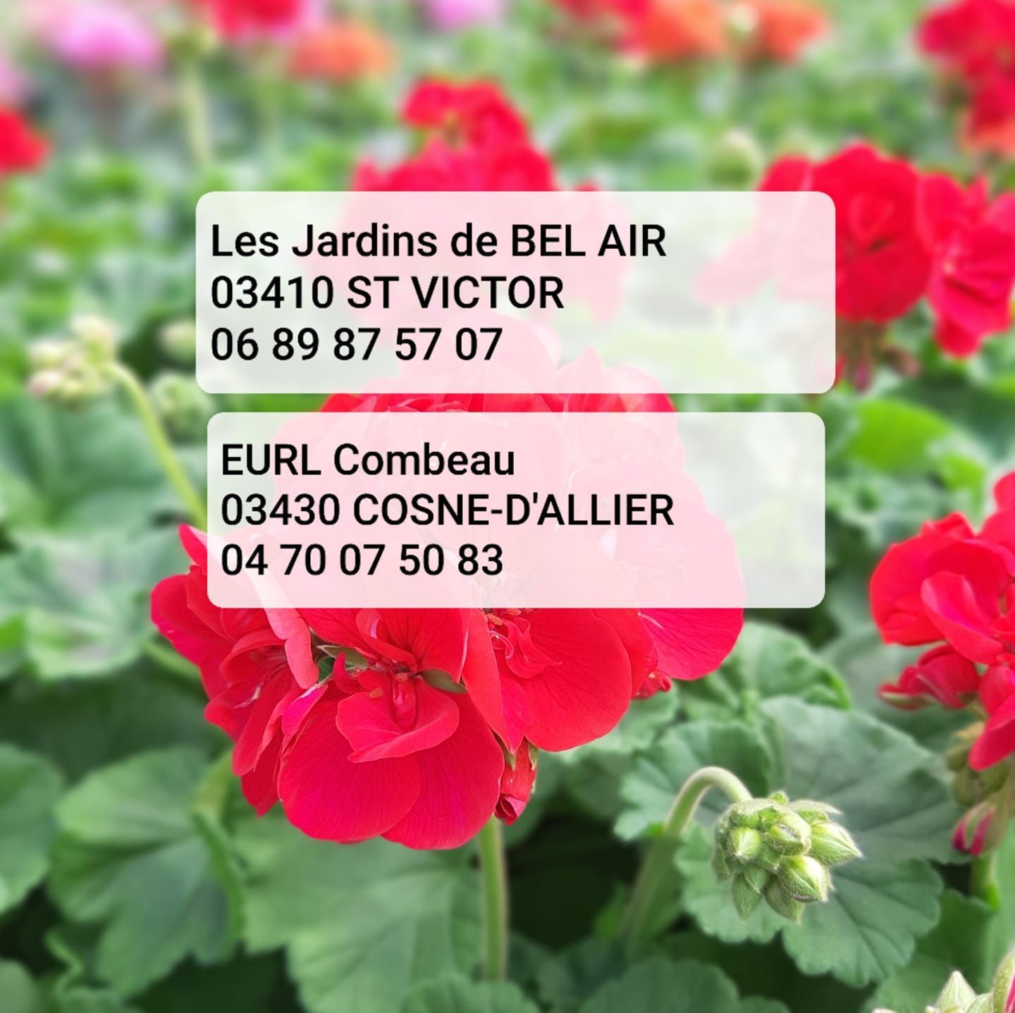 Photo d'illustration 2 sur 3