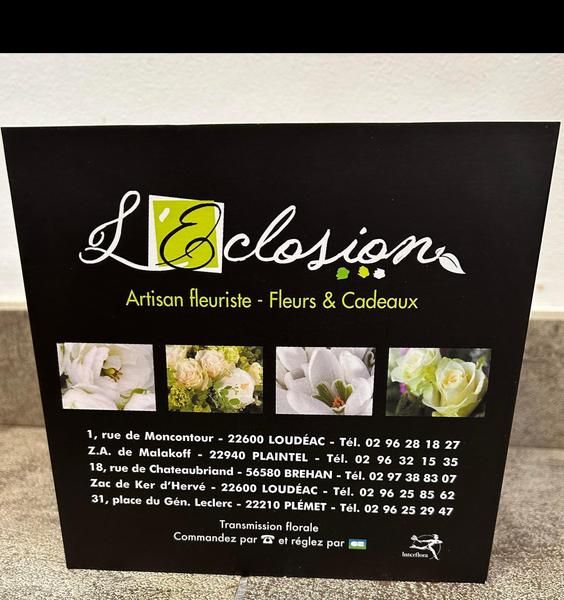 Photo d'illustration 1 sur 17
