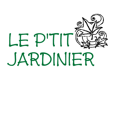 Photo d'illustration 1 sur 9