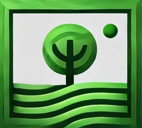 Photo d'illustration 1 sur 4