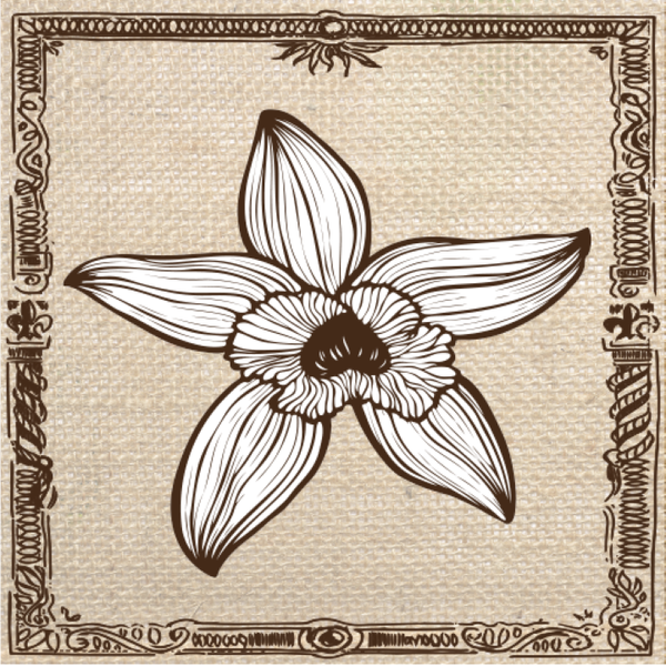 Photo d'illustration 1 sur 5