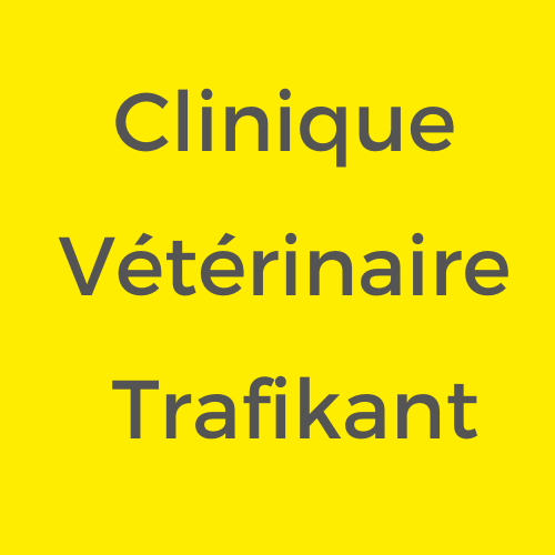 Photo d'illustration 1 sur 2