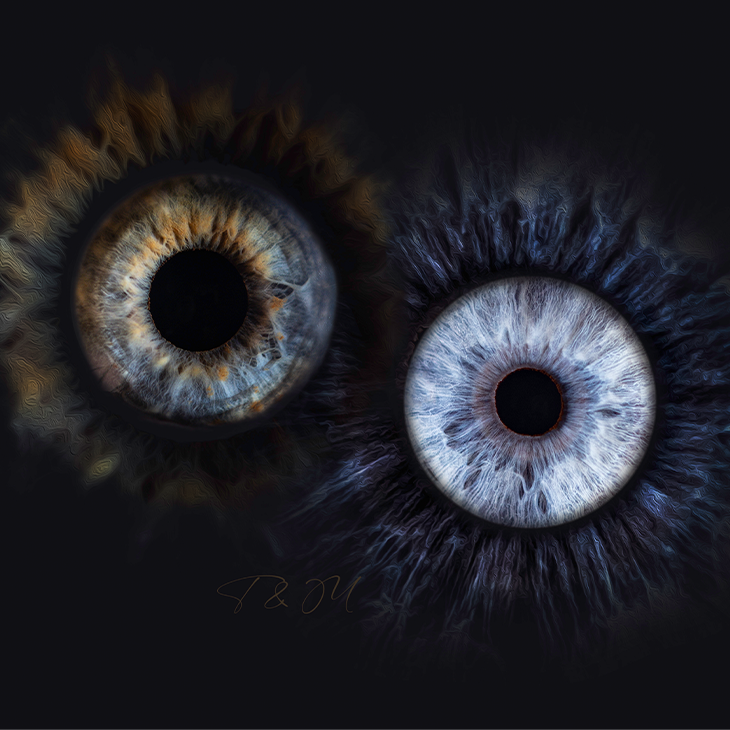 Photo d'illustration 4 sur 6