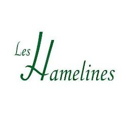 Photo d'illustration 1 sur 3