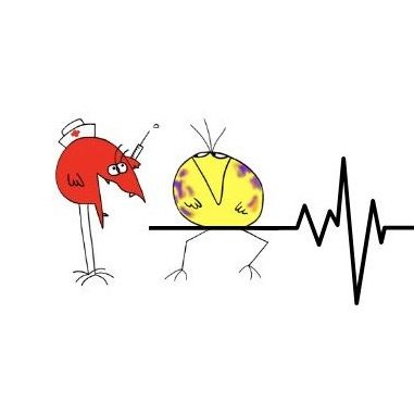 Photo d'illustration 1 sur 3