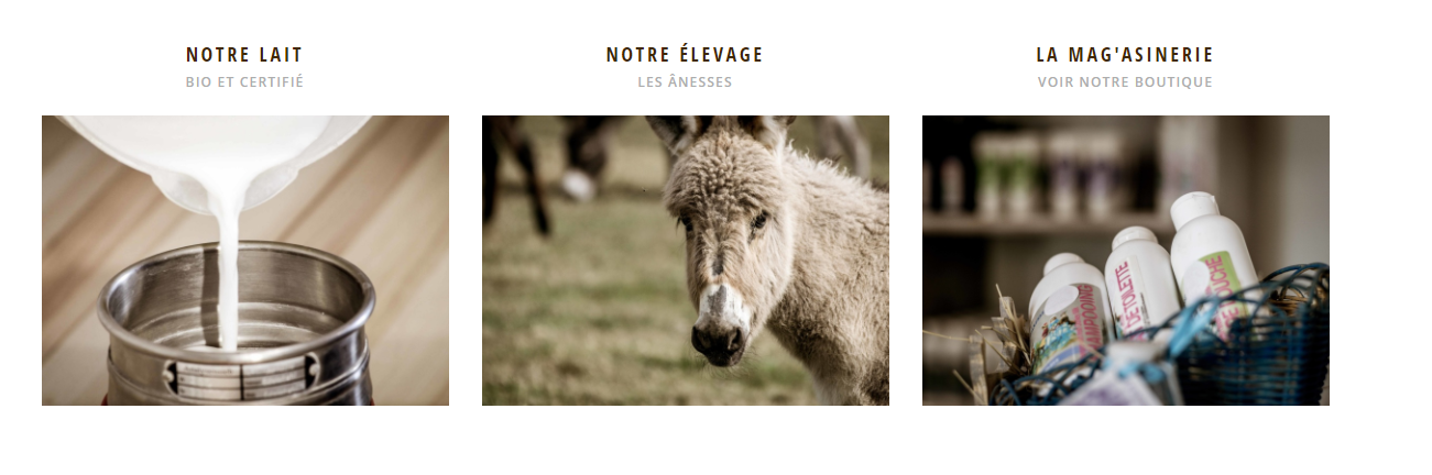Photo d'illustration 4 sur 5