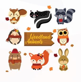 Photo d'illustration 4 sur 9