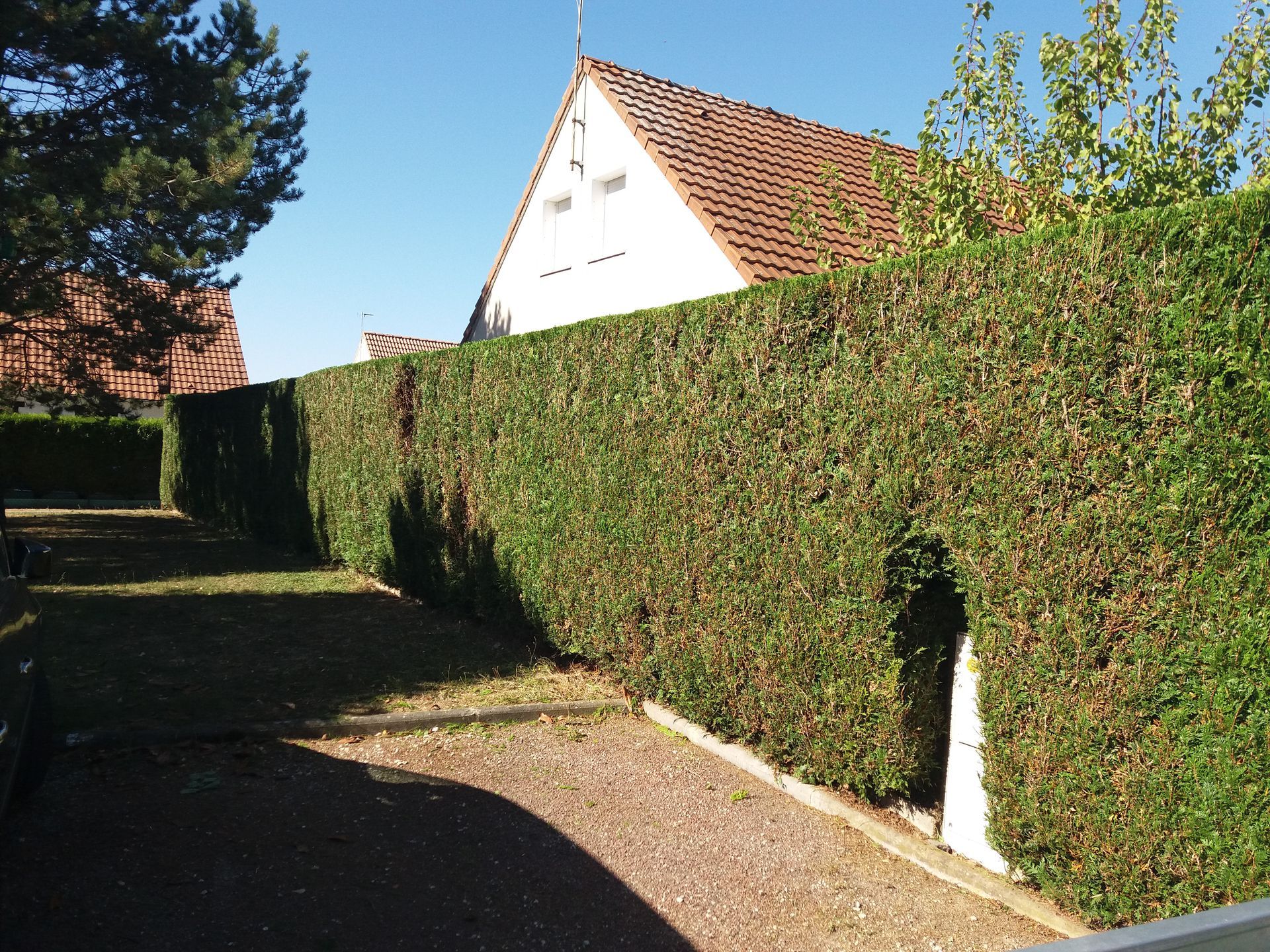 Photo d'illustration 2 sur 4