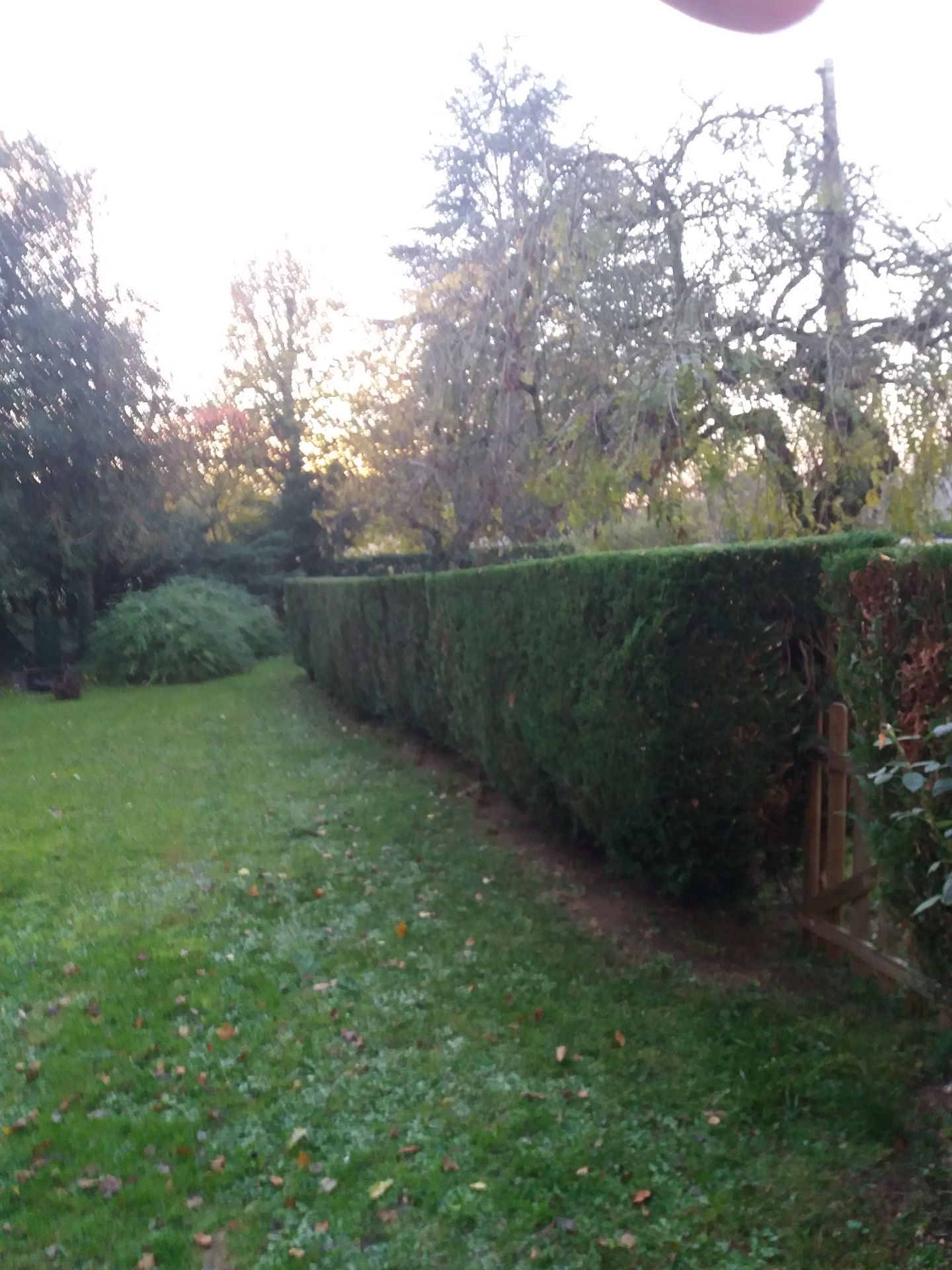 Photo d'illustration 4 sur 4