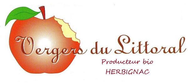 Photo d'illustration 1 sur 1