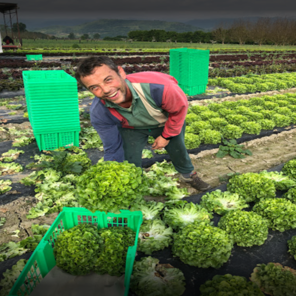 Photo d'illustration 2 sur 2