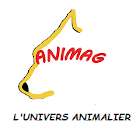 Photo d'illustration 2 sur 20