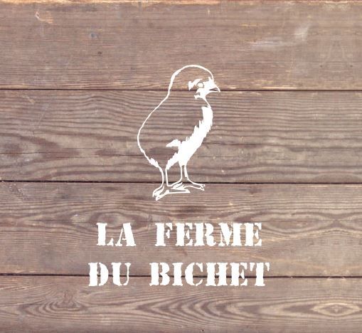 Photo d'illustration 3 sur 3