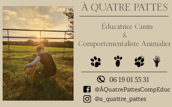 Photo d'illustration 1 sur 5