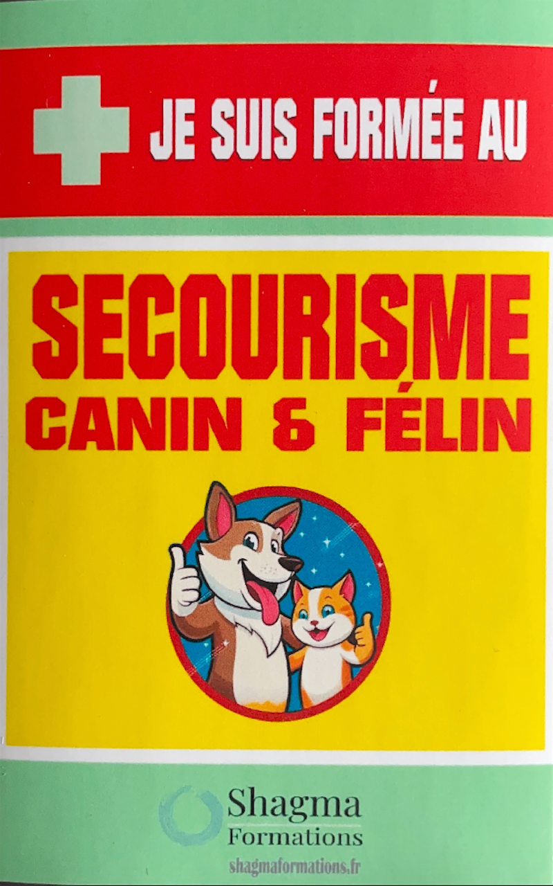 Photo d'illustration 1 sur 7