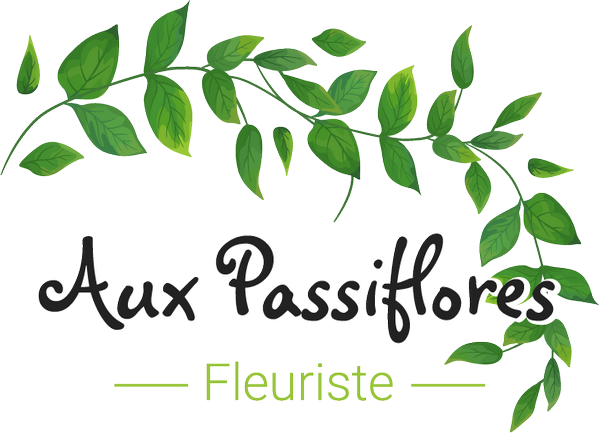 Photo d'illustration 1 sur 22