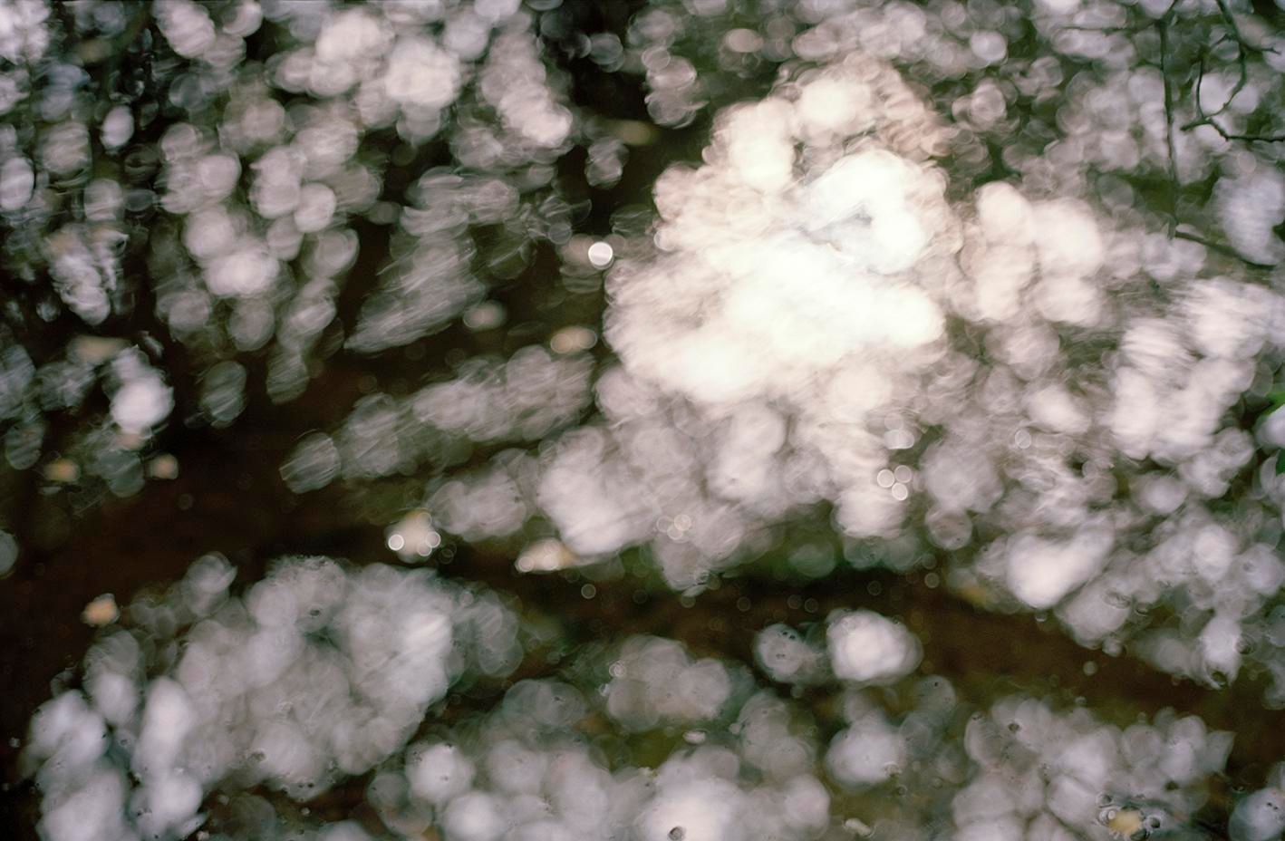 Photo d'illustration 4 sur 4