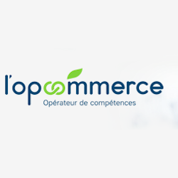 Photo d'illustration 1 sur 1