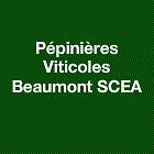 Photo d'illustration 1 sur 1
