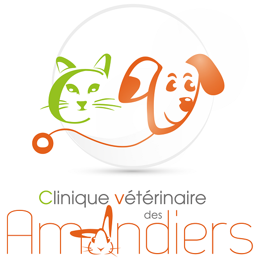 Photo d'illustration 1 sur 2