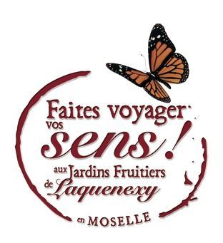 Photo d'illustration 3 sur 6