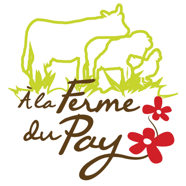 Photo d'illustration 1 sur 7