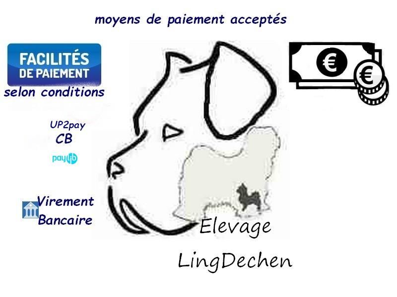 Photo d'illustration 2 sur 18