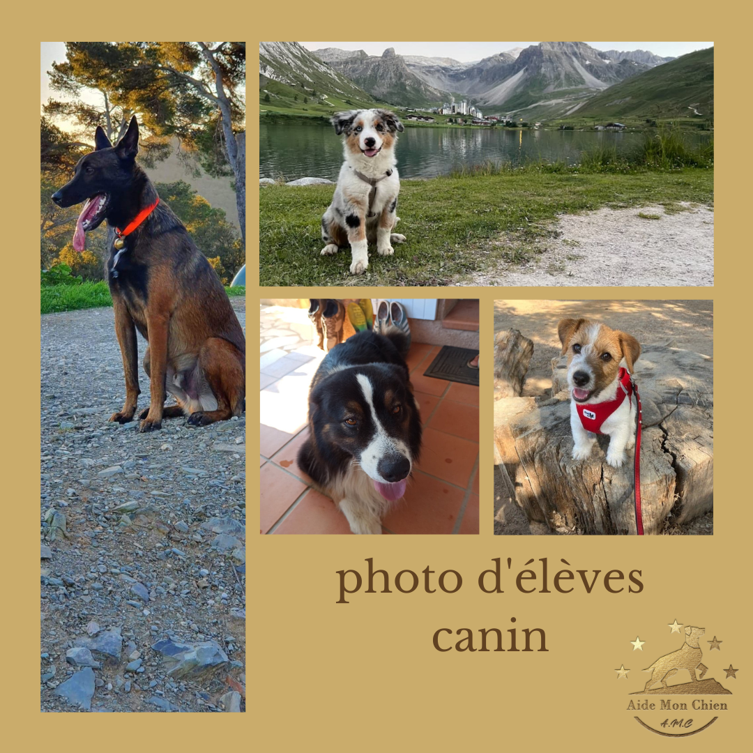 Photo d'illustration 2 sur 7