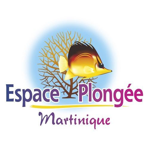 Photo d'illustration 1 sur 4