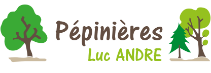 Photo d'illustration 1 sur 6