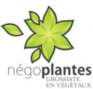 Photo d'illustration 1 sur 60