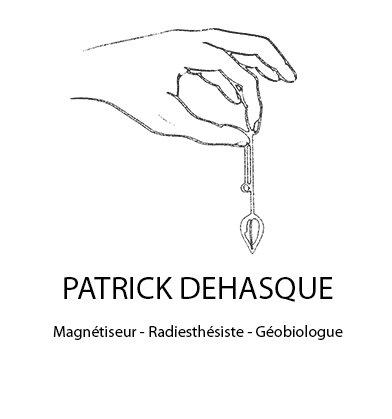 Photo d'illustration 1 sur 1