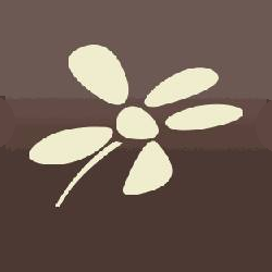 Photo d'illustration 4 sur 4