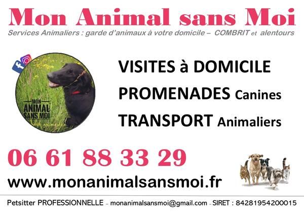 Photo d'illustration 2 sur 10