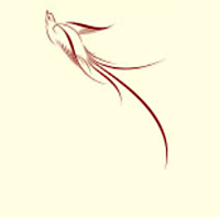 Photo d'illustration 1 sur 3