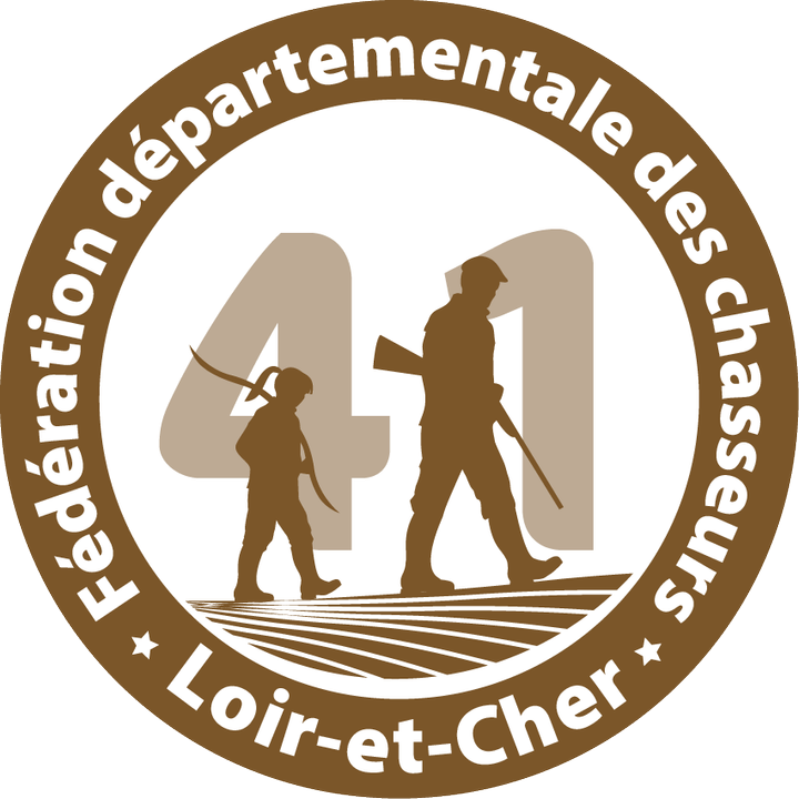 Photo d'illustration 1 sur 4