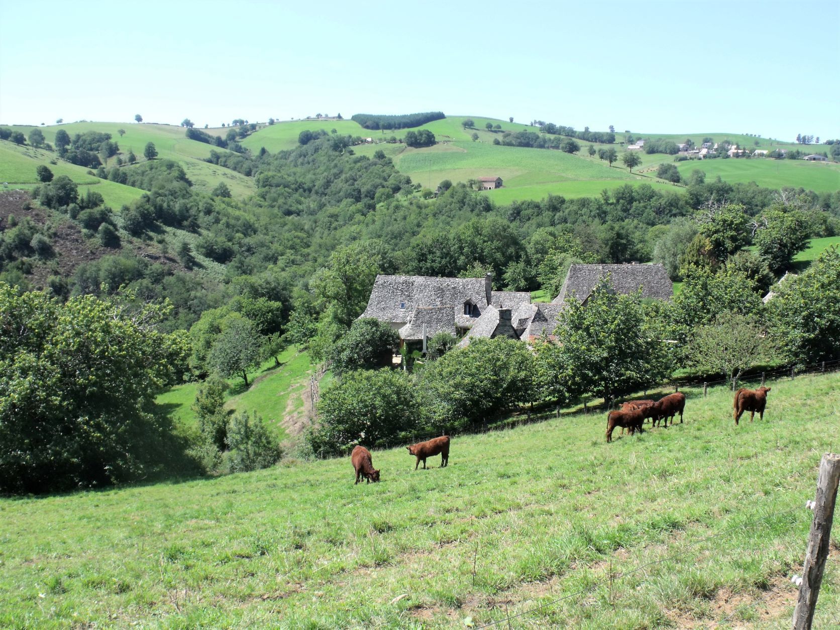 Photo d'illustration 3 sur 4
