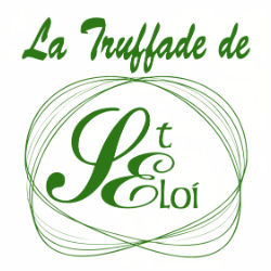 Photo d'illustration 1 sur 3