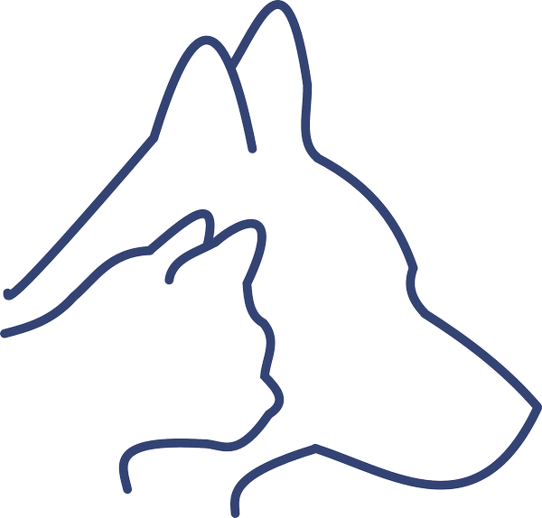 Photo d'illustration 1 sur 5
