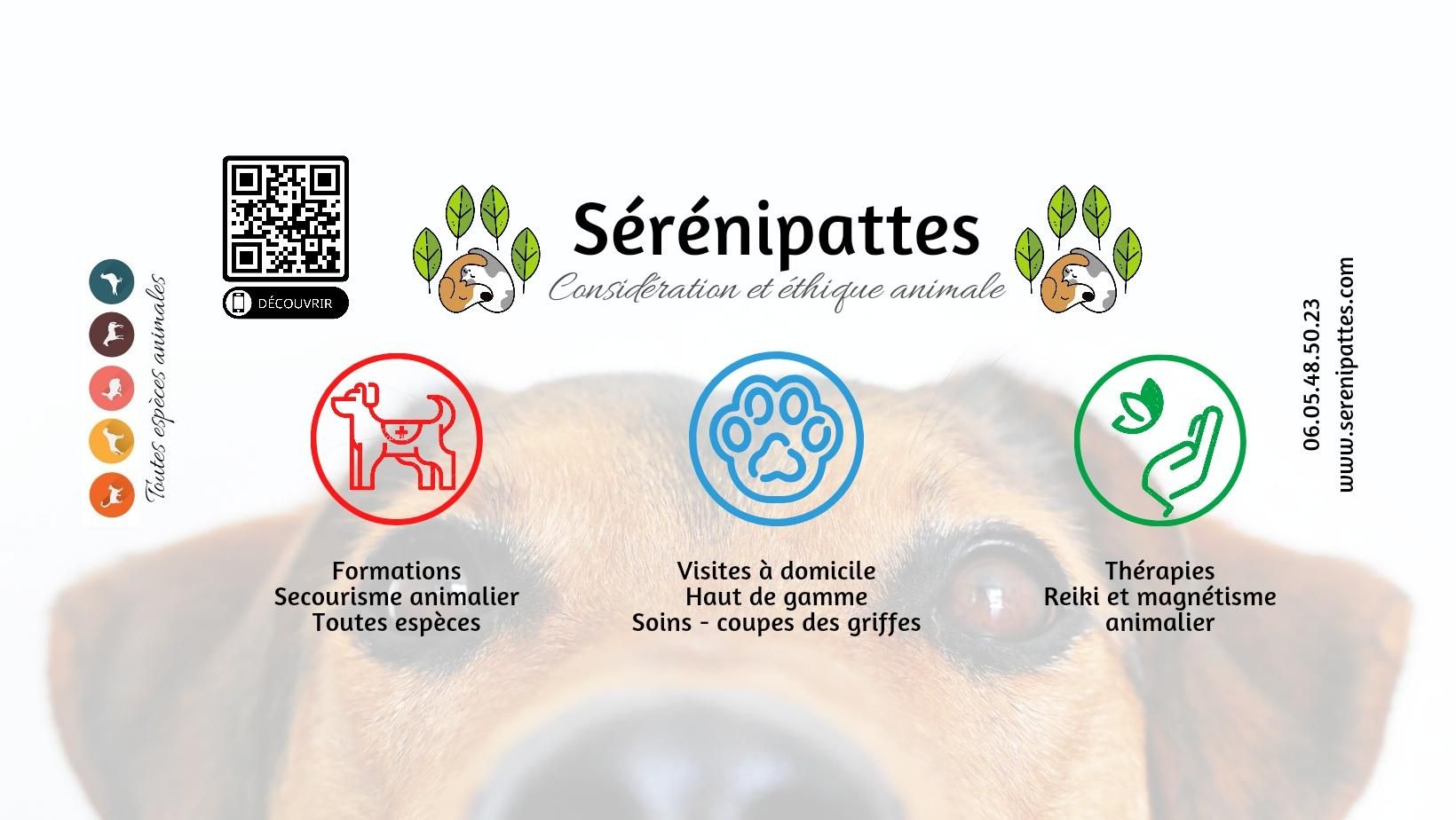 Photo d'illustration 2 sur 19
