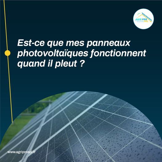 Photo d'illustration 3 sur 6