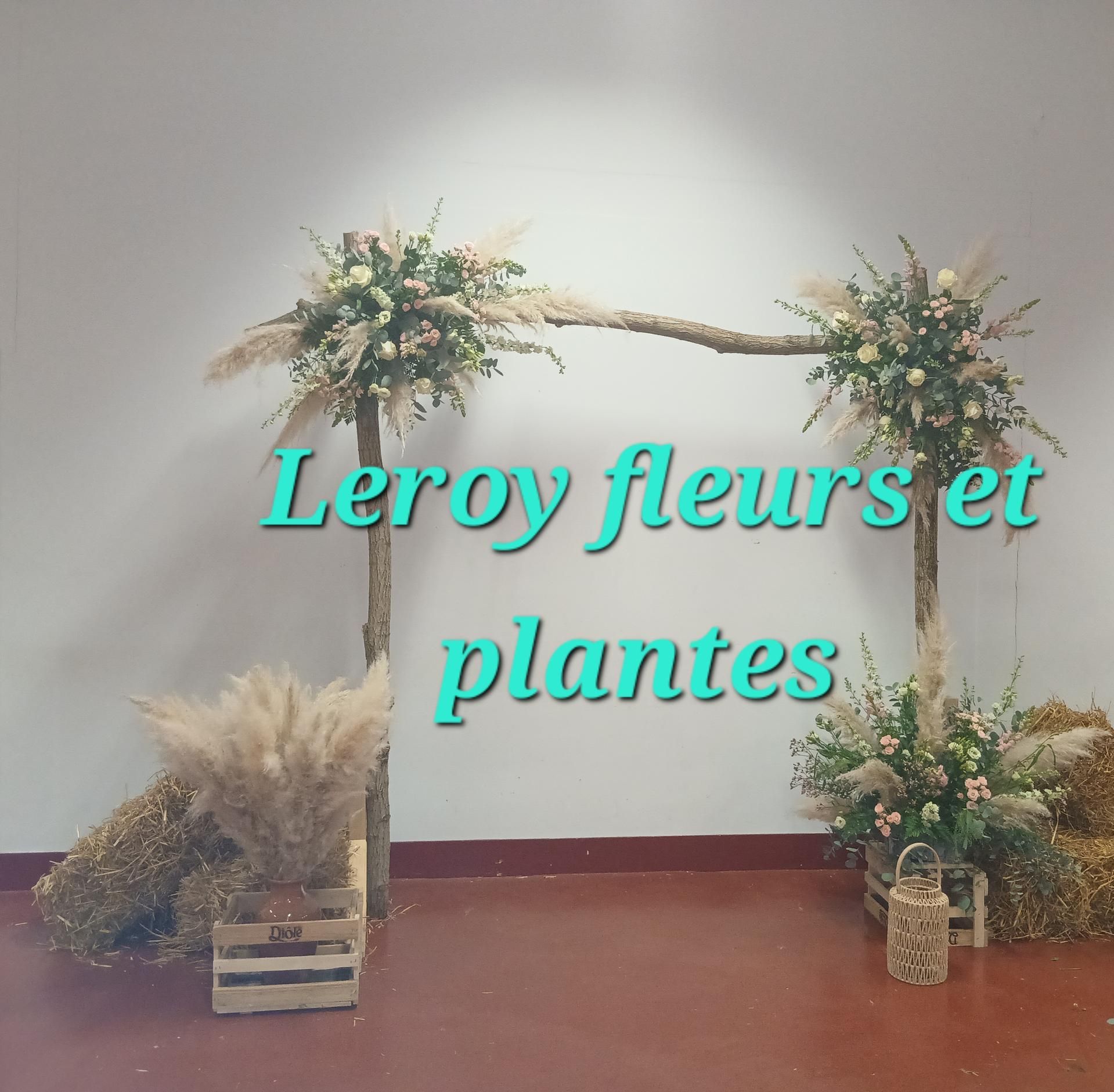 Photo d'illustration 2 sur 18