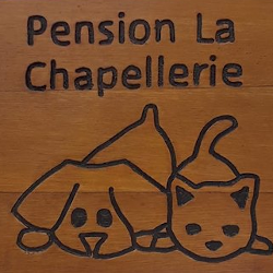 Photo d'illustration 4 sur 4