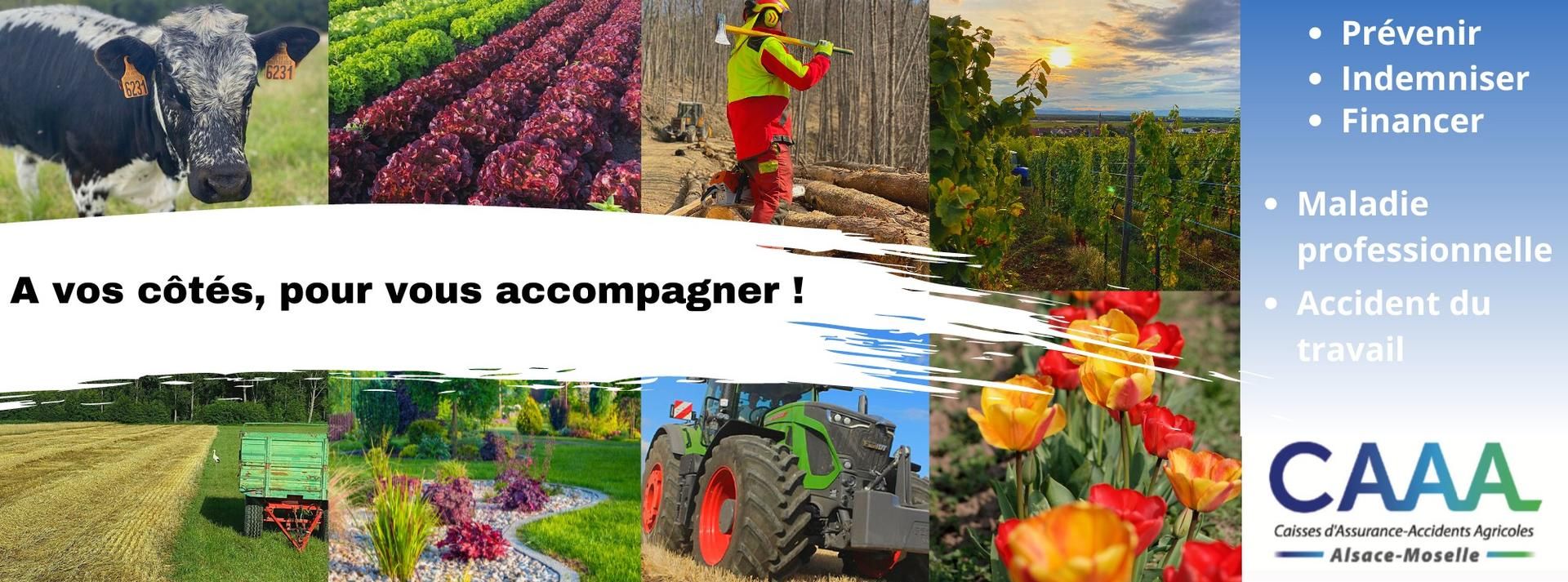 Photo d'illustration 2 sur 2