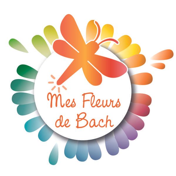 Photo d'illustration 1 sur 1