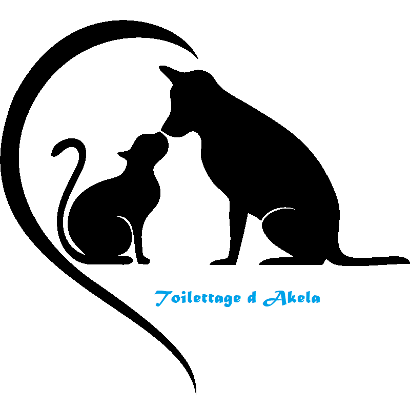 Photo d'illustration 1 sur 5